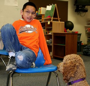Communication and the special education class therapy dog visit.