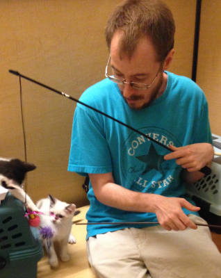 boy with cerebral palsy plays with kittens