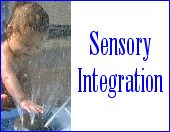 Sensory Intergration section