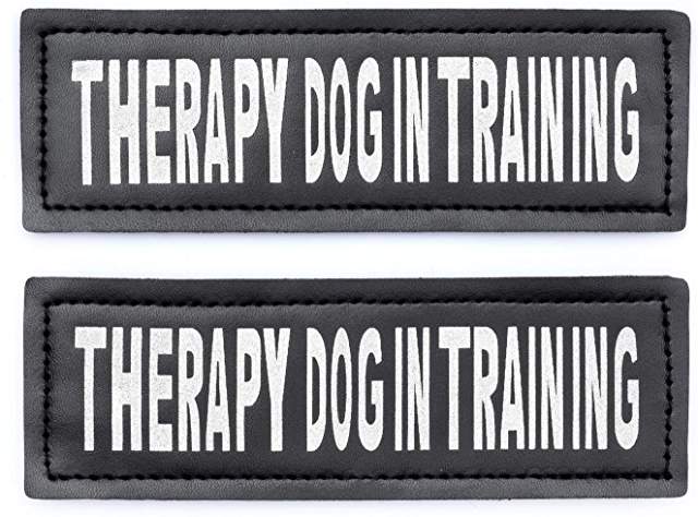 Therapy Dog in Training Patch