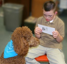 Boy with Down Syndrome holds up card which reads "sit" while therapy dog sits.