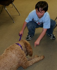The down - learning manners from the therapy dog.