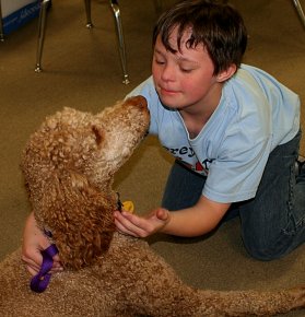 Therapy dog brings out the love, in the special education classroom.